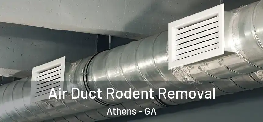  Air Duct Rodent Removal Athens - GA