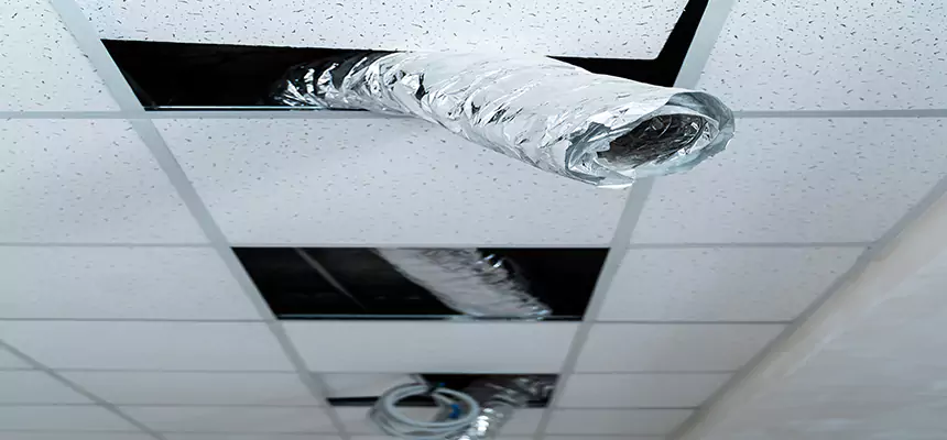 Our Air Duct Pet Hair Removal Services in Athens, GA