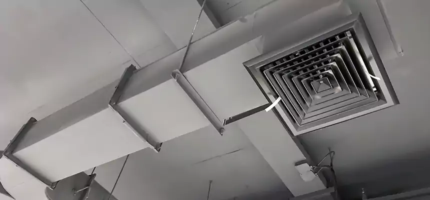 Restorative Allergy Relief Vent Cleaning – Coil, Blower & Housing Detail in Athens