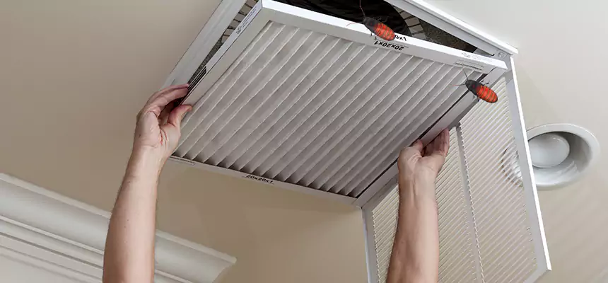 Our Insect Removal from Air Ducts Services in Athens, GA