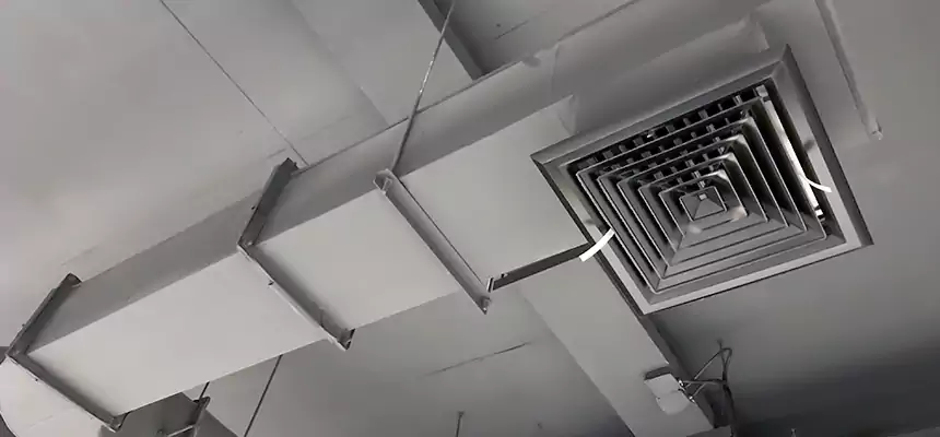 Our Pest Removal From Ducts Services in Athens, GA