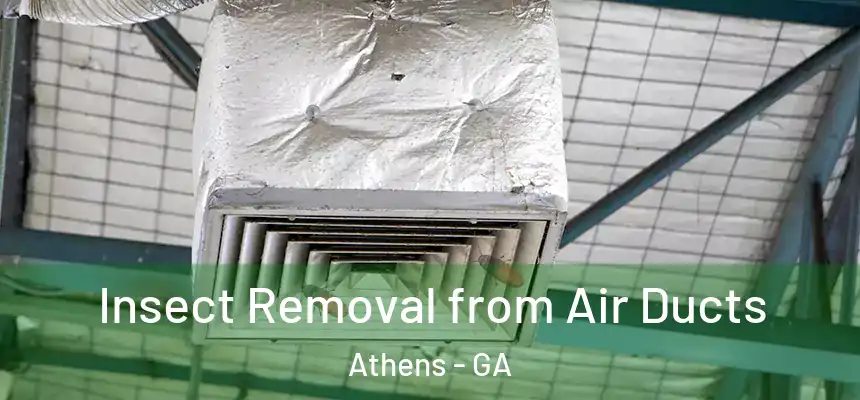 Insect Removal from Air Ducts Athens - GA