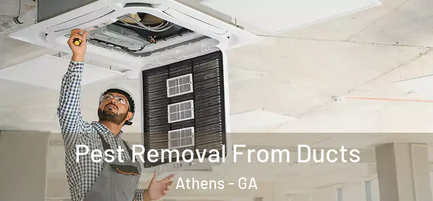 Pest Removal From Ducts Athens - GA