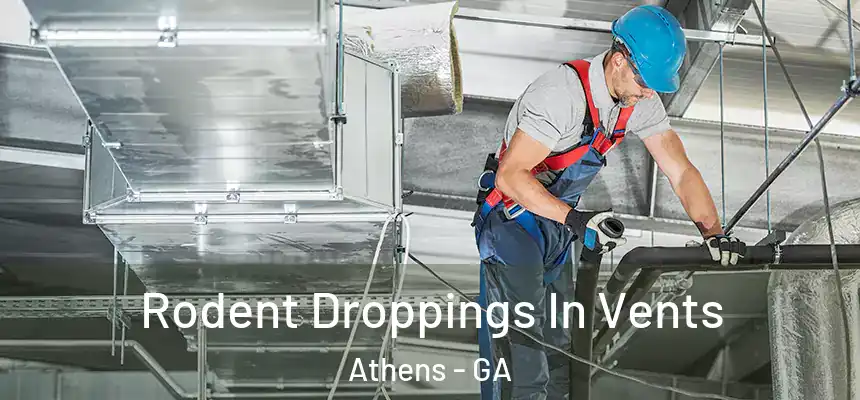 Rodent Droppings In Vents Athens - GA