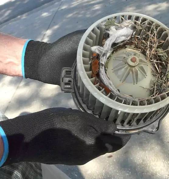 About Air Duct Rat Removal in Athens, GA