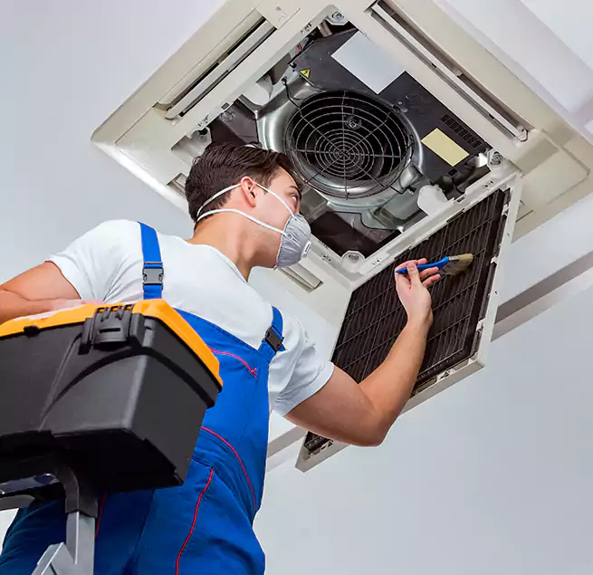 Why Homeowners & Businesses Trust Us in Athens, GA?