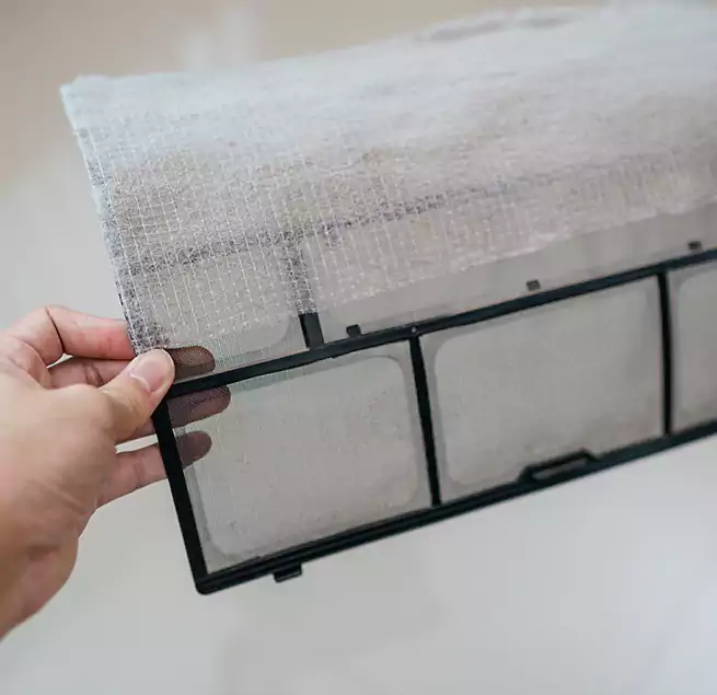 Why Homeowners & Businesses Trust Us in Athens, GA?