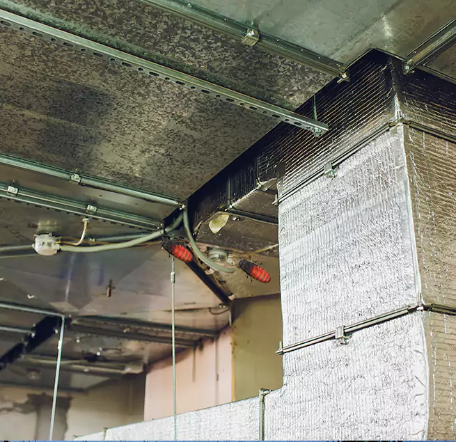 Why Homeowners & Businesses Trust Us Athens, GA?