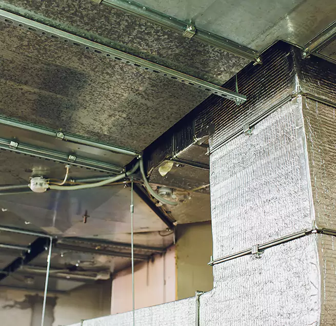 Why Homeowners & Businesses Trust Us in Athens, GA?