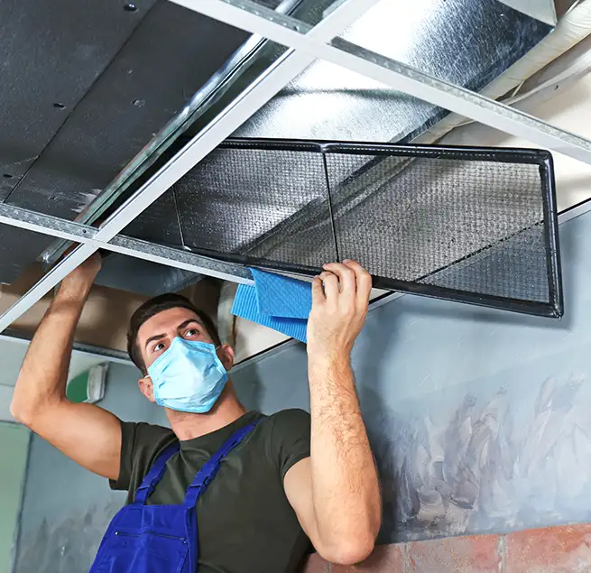 Why Homeowners & Businesses Trust Us in Athens, GA?