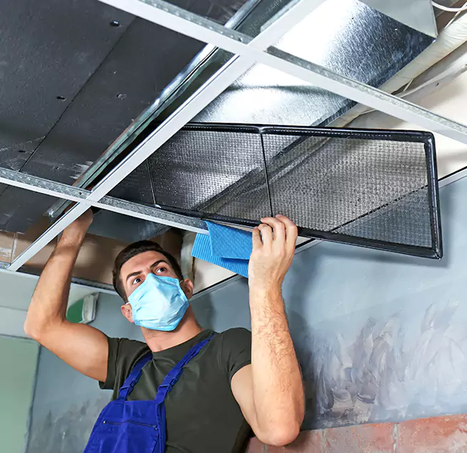 Why Homeowners Businesses Trust Us in Athens, GA?